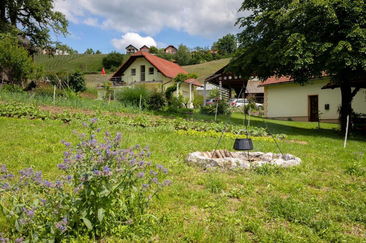 Villa Domacija Vesel Trebnje Exterior foto